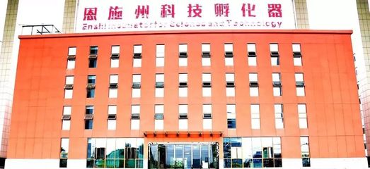 恩施創業扶持政策解讀 房租減免與資金支持，創業孵化器助力夢想啟航